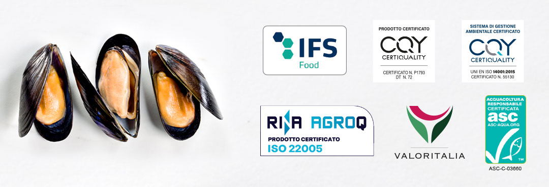 testatina_sito_certifiche_IFS-mod