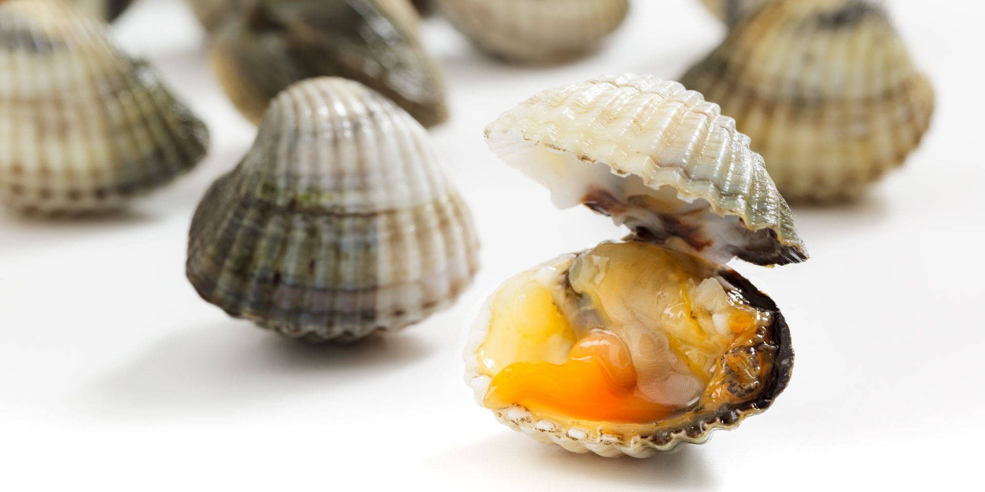 Heart clams Nieddittas