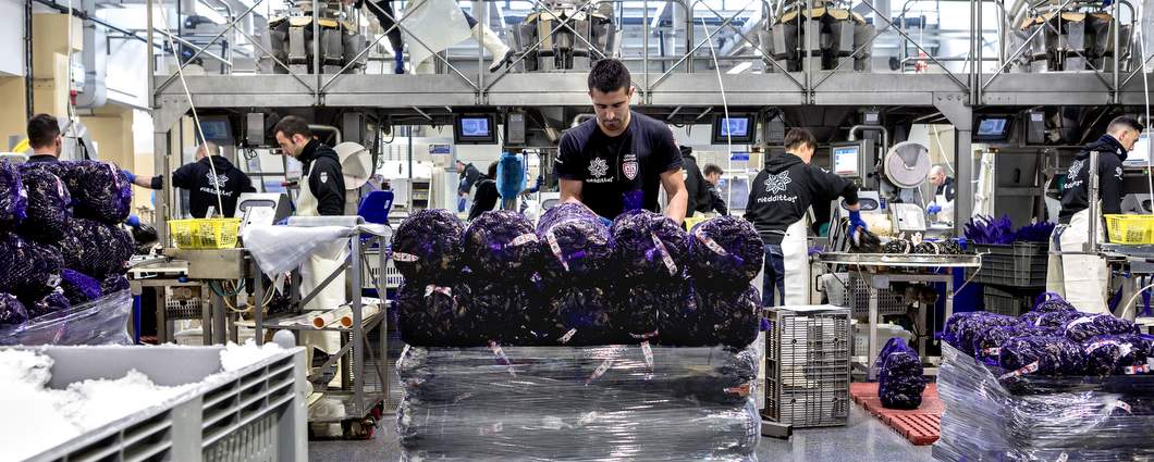 lavorazione_nieddittas19_CV02549