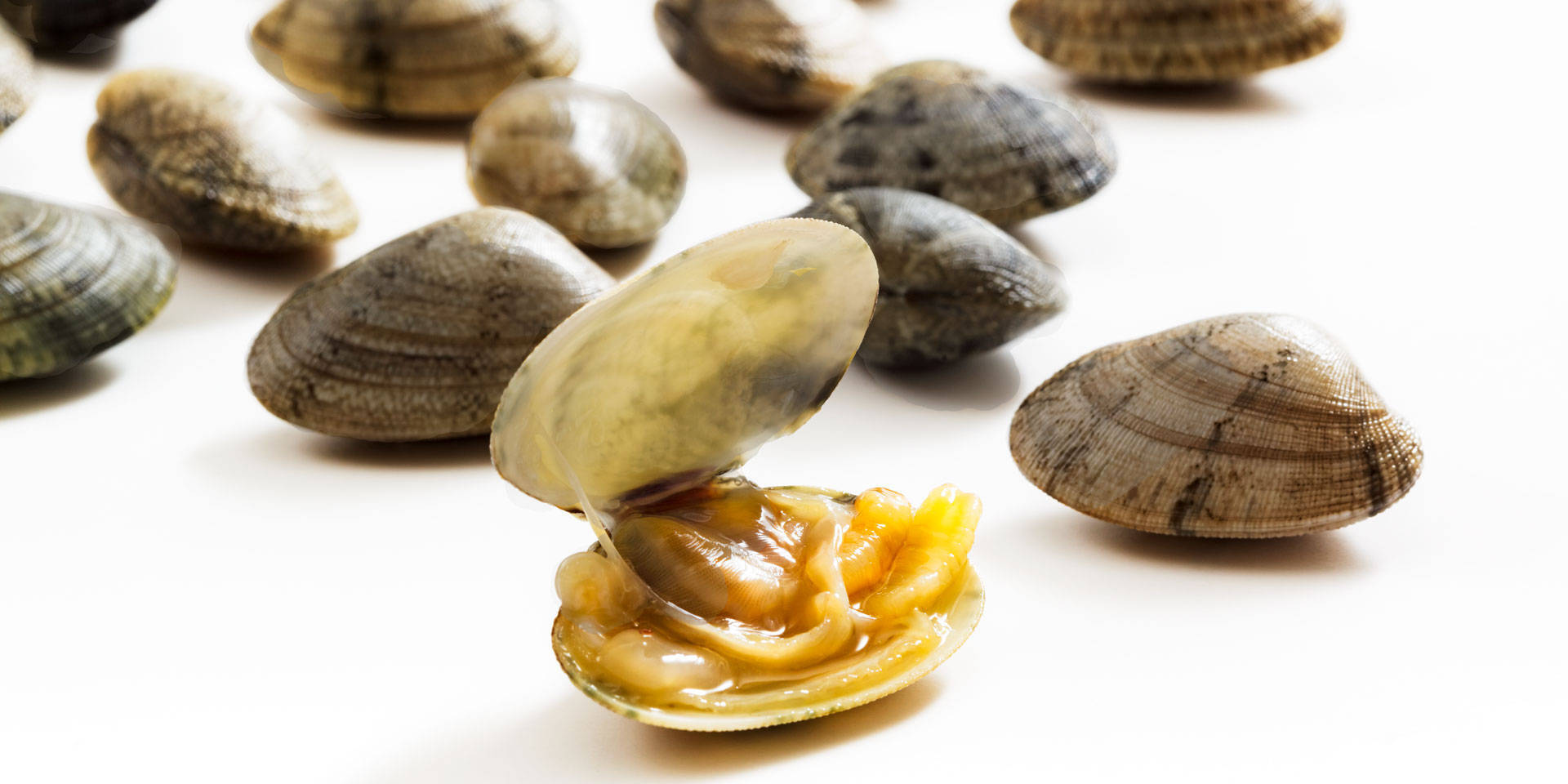 Vongole veraci nostrane Nieddittas