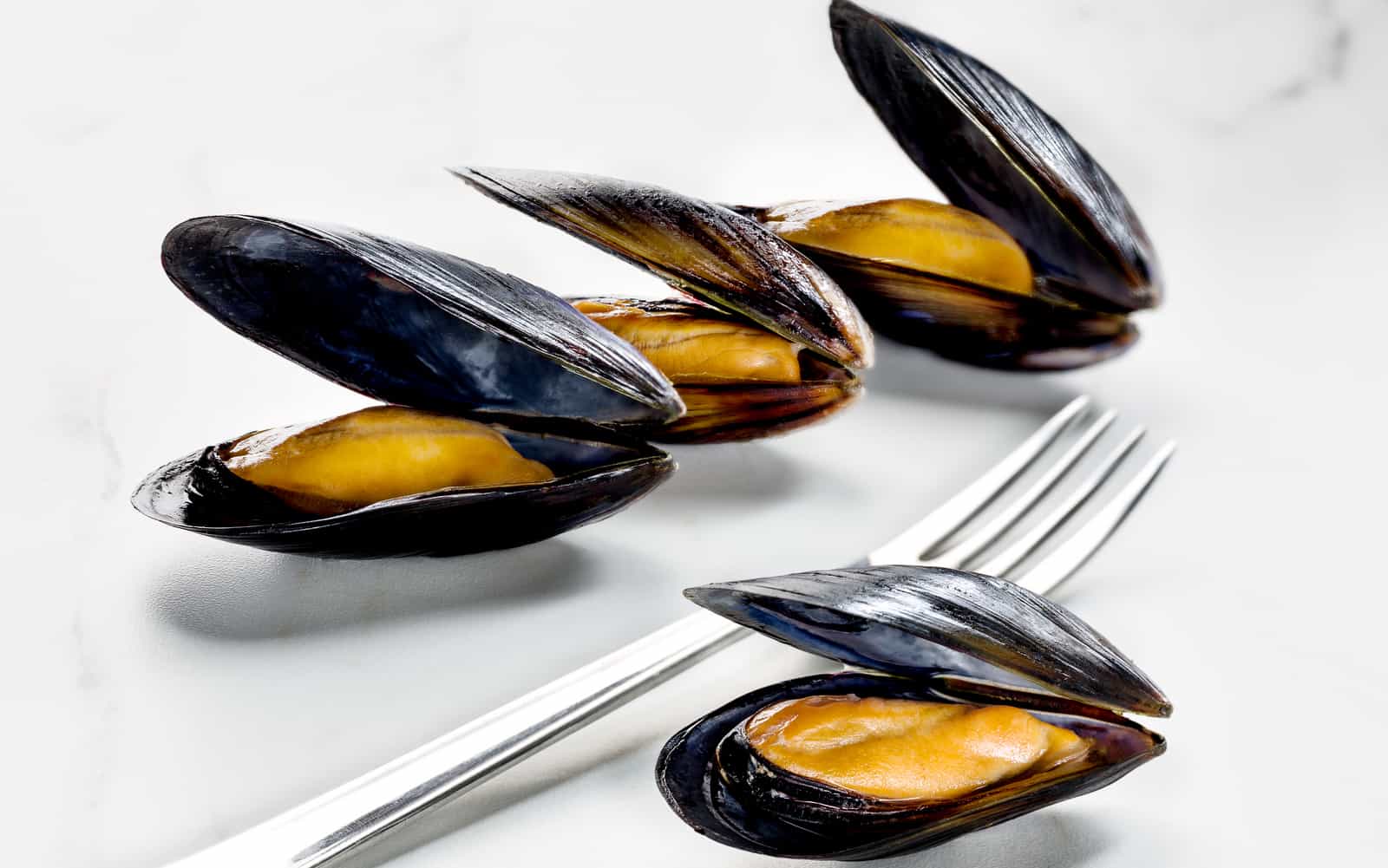 Come riconoscere le cozze fresche.