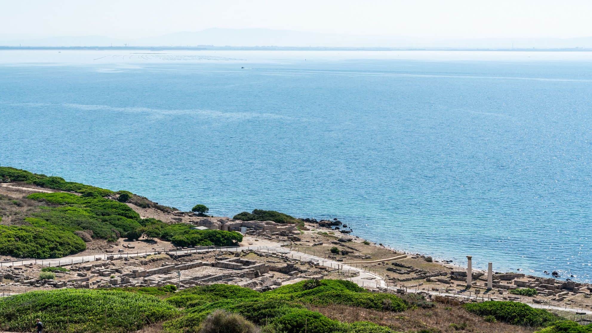 Tharros e i Fenici, la storia a due passi da Nieddittas.