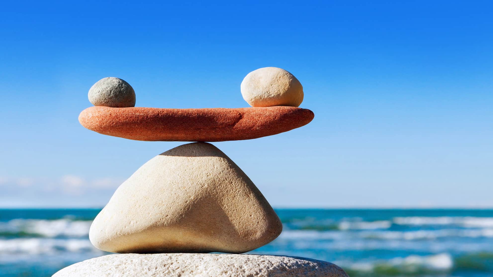 La vita in spiaggia e l’equilibrio naturale.