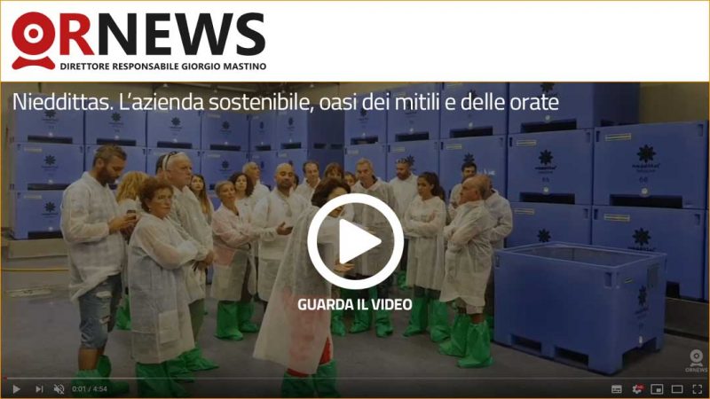 Nieddittas. L’azienda sostenibile, oasi dei mitili e delle orate