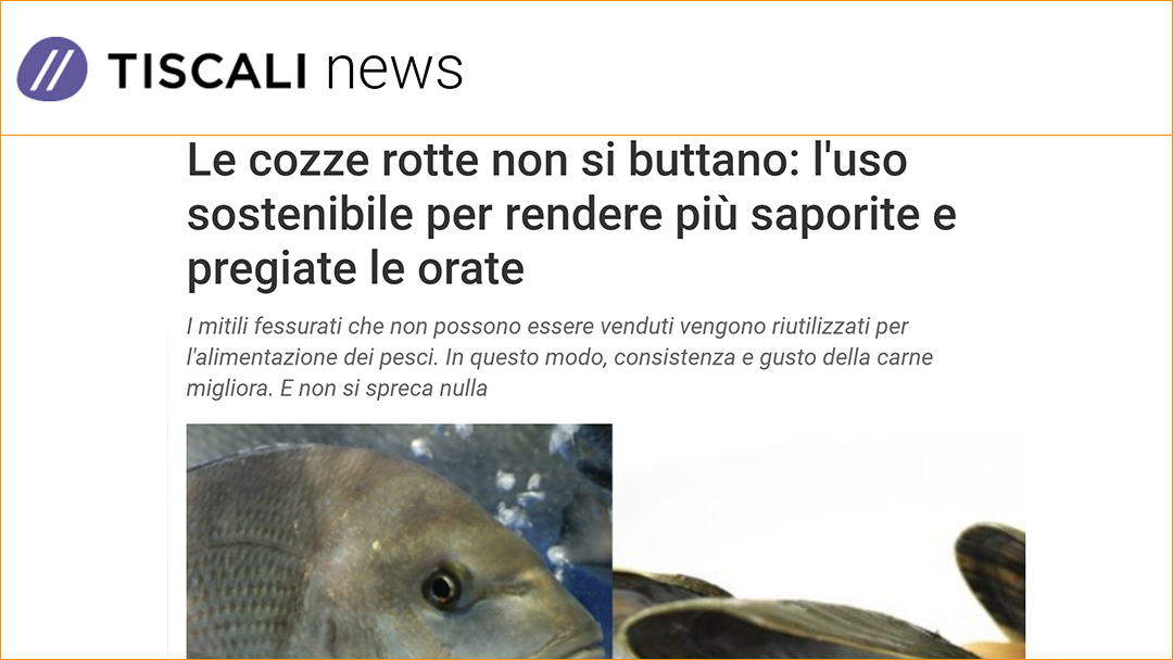 Le cozze rotte non si buttano: l’uso sostenibile per rendere più saporite e pregiate le orate