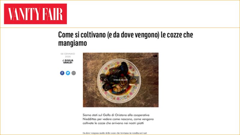 Come si coltivano (e da dove vengono) le cozze che mangiamo