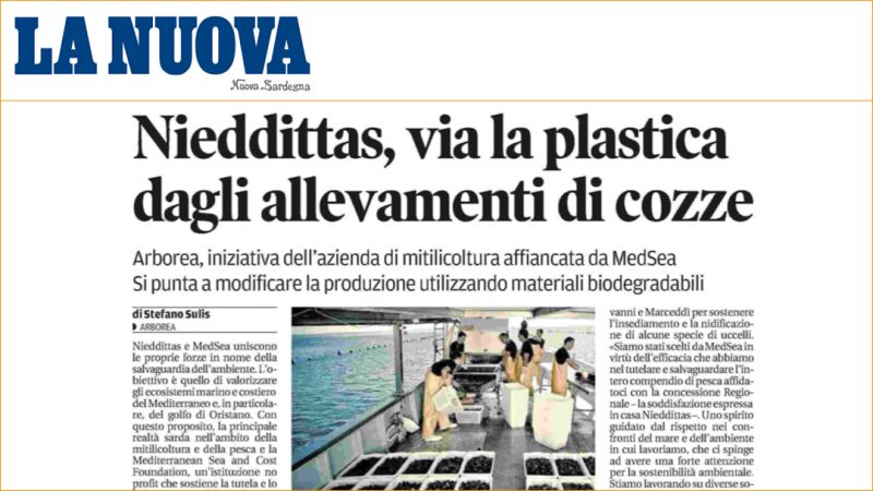 Nieddittas, via la plastica dagli allevamenti di cozze