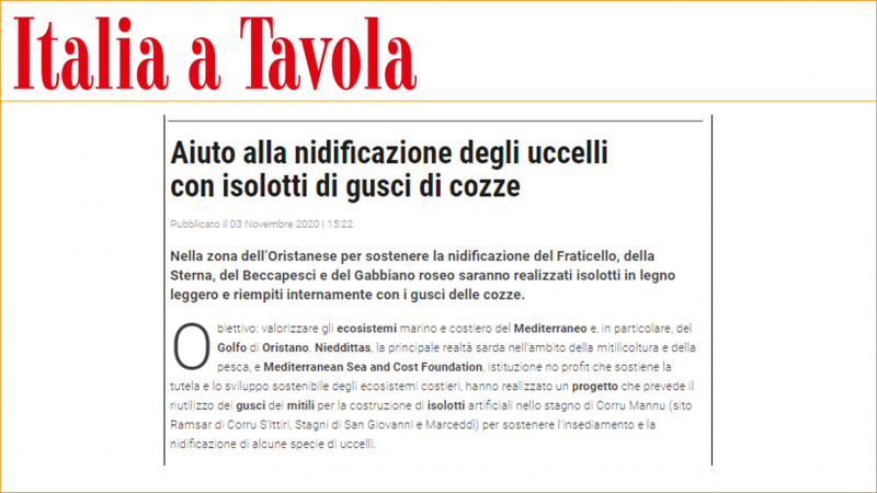 Aiuto alla nidificazione degli uccelli con isolotti di gusci di cozze