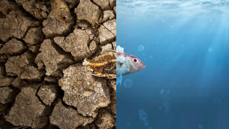 Che influenza ha il mare sul clima?