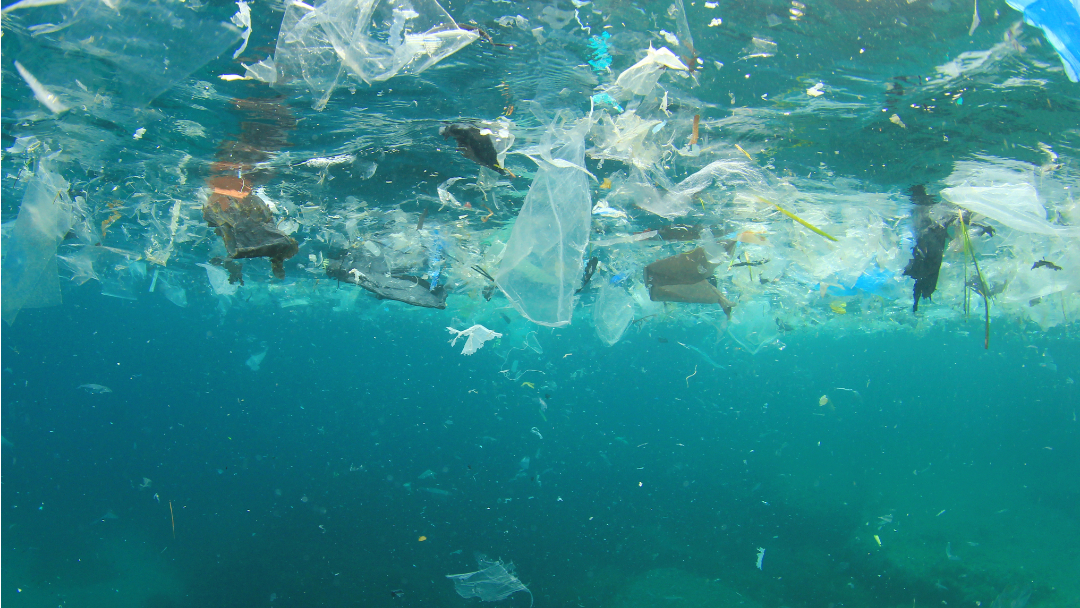 Quanta plastica c’è nel mare?
