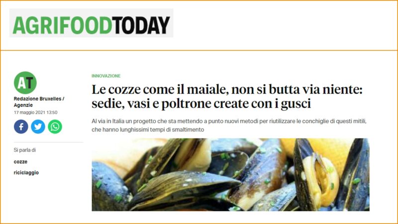 Le cozze come il maiale, non si butta via niente: sedie, vasi e poltrone create con i gusci