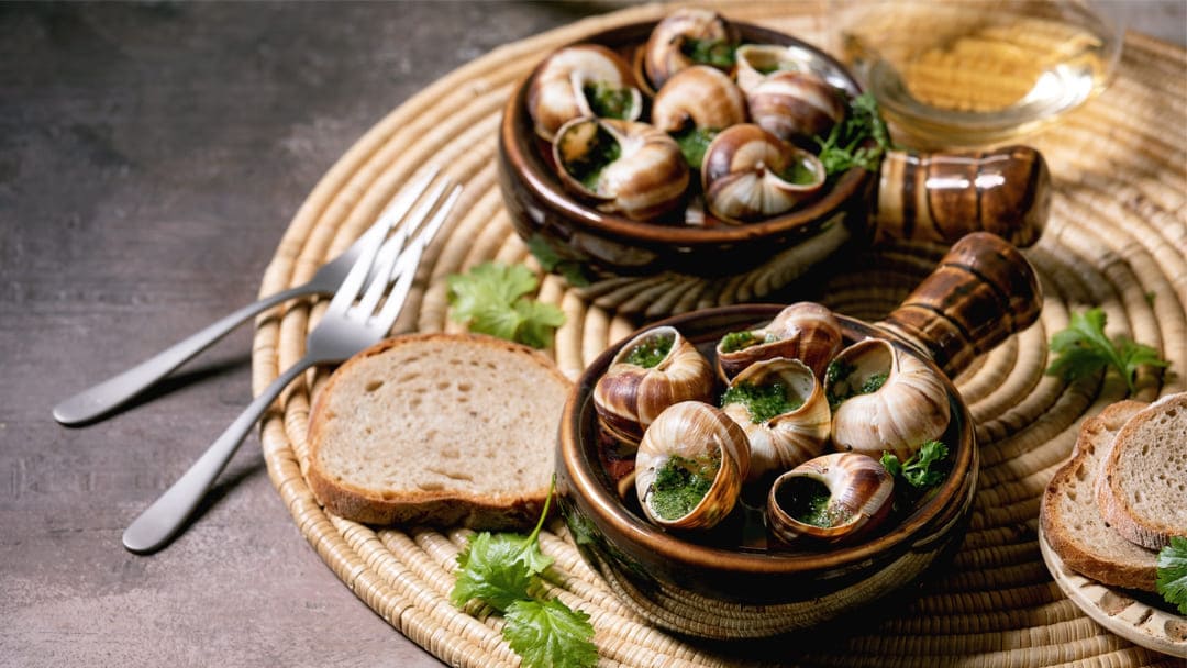 Cosa mangiano le lumache di mare?