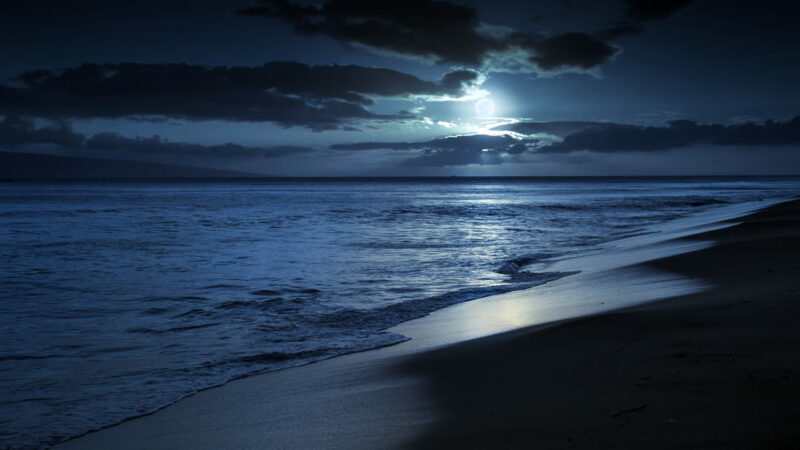 Perché l’acqua del mare di notte è calda?