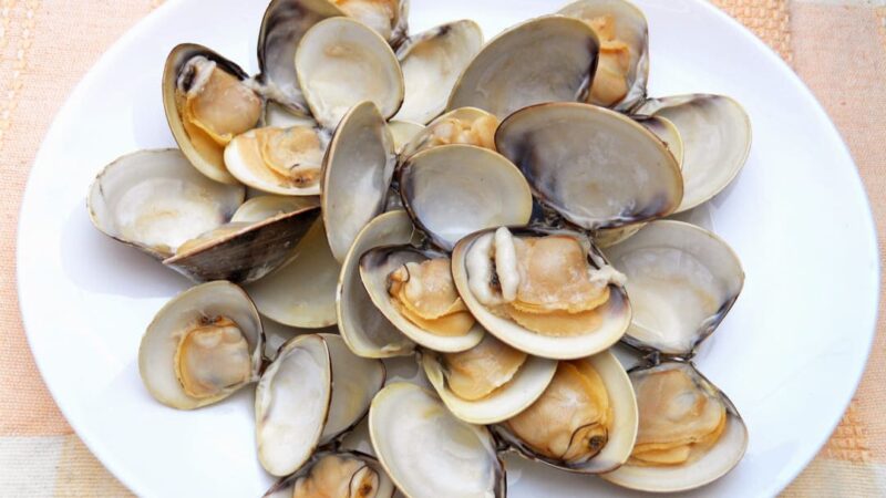 Come aprire i tartufi di mare