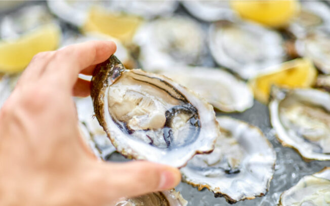 Dove si trovano le ostriche?