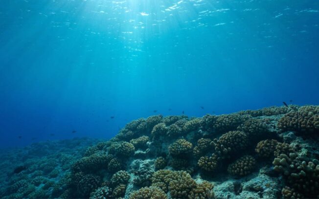 Giornata mondiale degli oceani: perché la festeggiamo e quando è?