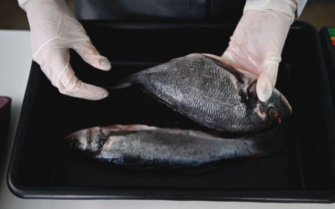 Come riconoscere il pesce fresco