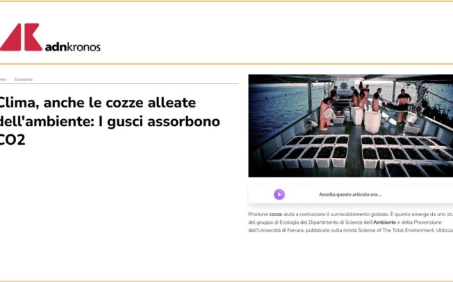 Clima, anche le cozze alleate dell’ambiente: I gusci assorbono CO2