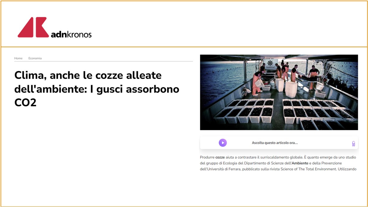 Clima, anche le cozze alleate dell’ambiente: I gusci assorbono CO2