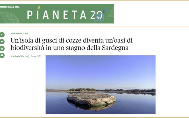 Un’isola di gusci di cozze diventa un’oasi di biodiversità in uno stagno della Sardegna