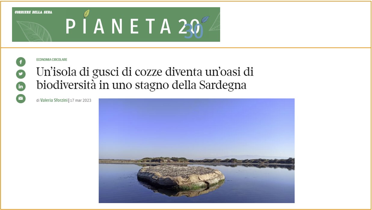 Un’isola di gusci di cozze diventa un’oasi di biodiversità in uno stagno della Sardegna