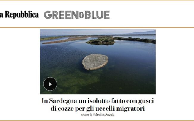 In Sardegna un isolotto fatto con gusci di cozze per gli uccelli migratori