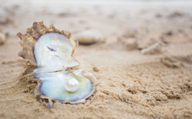 Quanto vale una perla di ostrica?