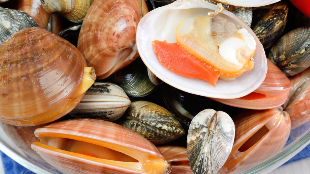 Qual è la differenza tra i fasolari e le vongole?