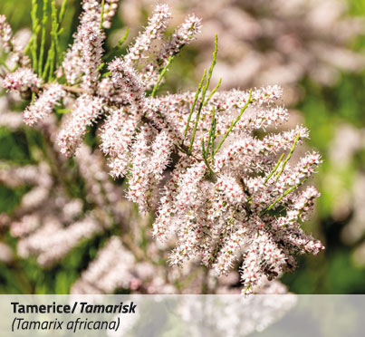 EFP_pannello-2-12