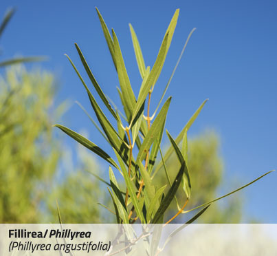 EFP_pannello-2-14