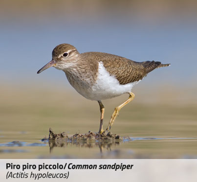 EFP_pannello-3-5
