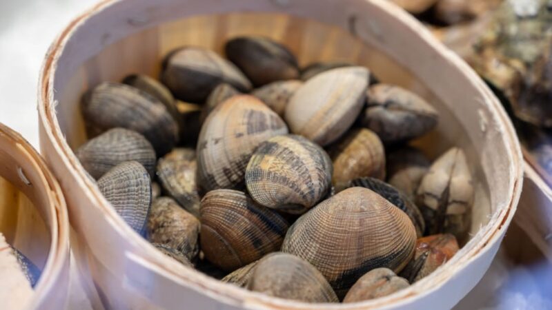 Come conservare le vongole