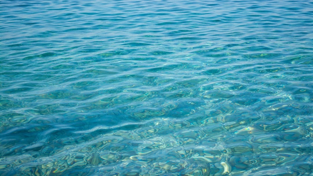 Perché l’acqua di mare ha questo profumo?