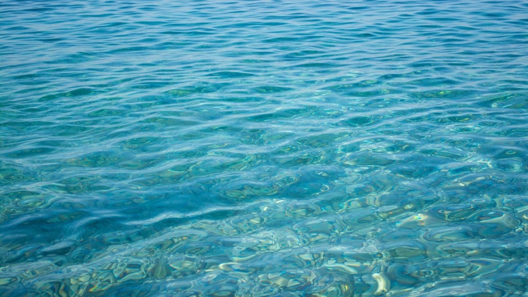 Perché l'acqua di mare ha questo profumo? - Nieddittas