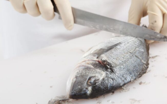 Come pulire e preparare il dentice facilmente