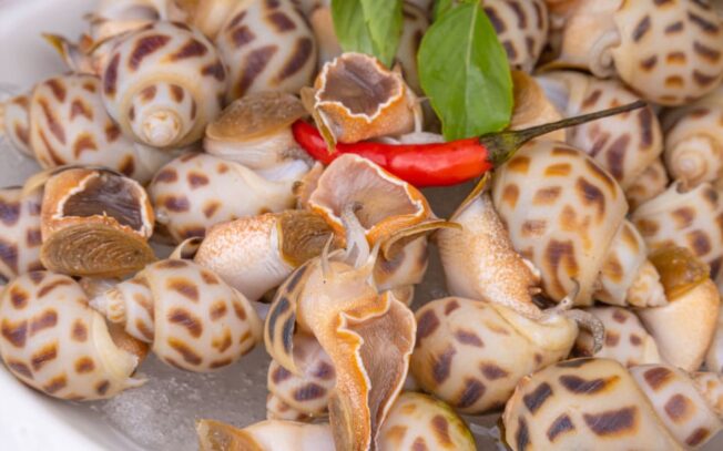 Come pulire le lumache di mare