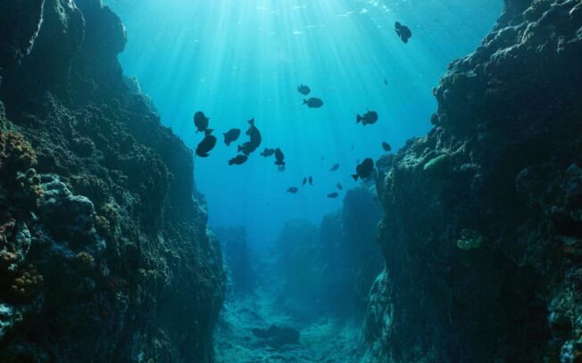 Qual è l’oceano più profondo?