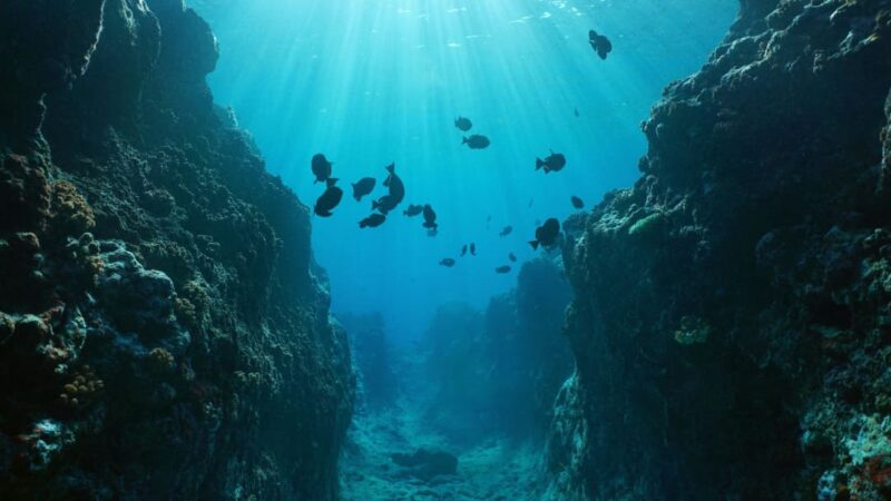 Qual è l’oceano più profondo?