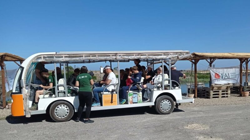 Le Camminate della Biodiversità FAI a Corru Mannu con Nieddittas