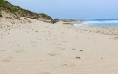Qual è la spiaggia più lunga della Sardegna?