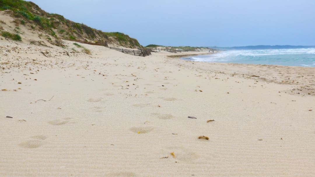 Qual è la spiaggia più lunga della Sardegna?