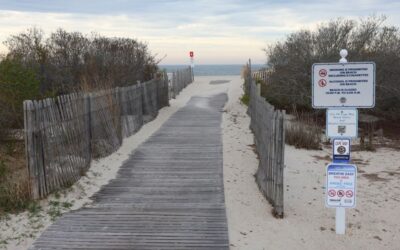 Cosa non si può fare in spiaggia?