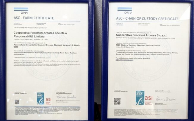 25-26 e 27 Novembre 2025: audit di sorveglianza per la Certificazione ASC a cura DNV.