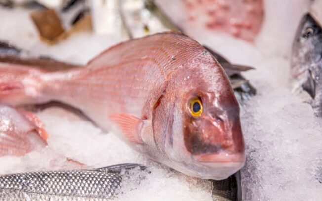 Come distinguere un pagro da un dentice?