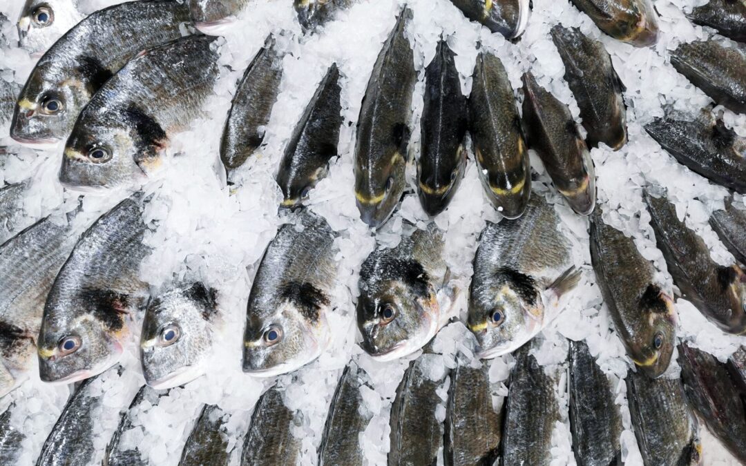 Cosa fare quando il pesce odora di ammoniaca?