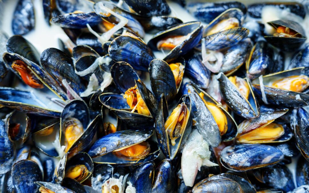 Perché le cozze si chiamano muscoli?
