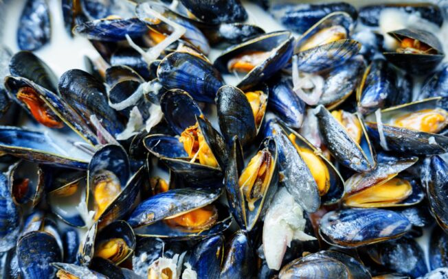 Perché le cozze si chiamano muscoli?