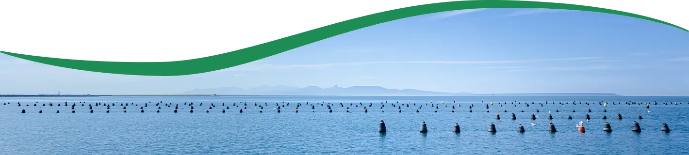 img1 mobile 600 x 240