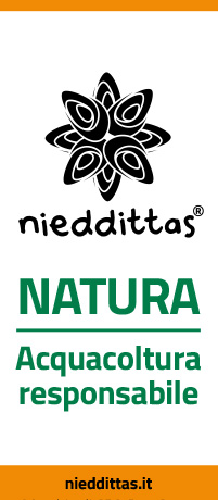 img12 desktop 200x460