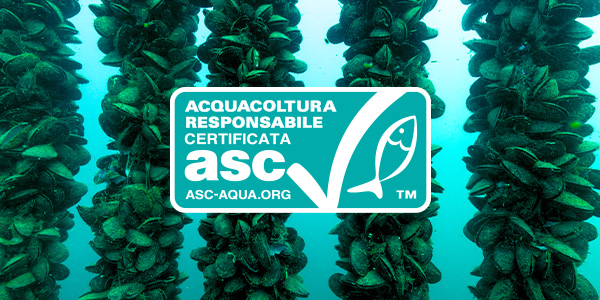 img2 mobile 600 x 300